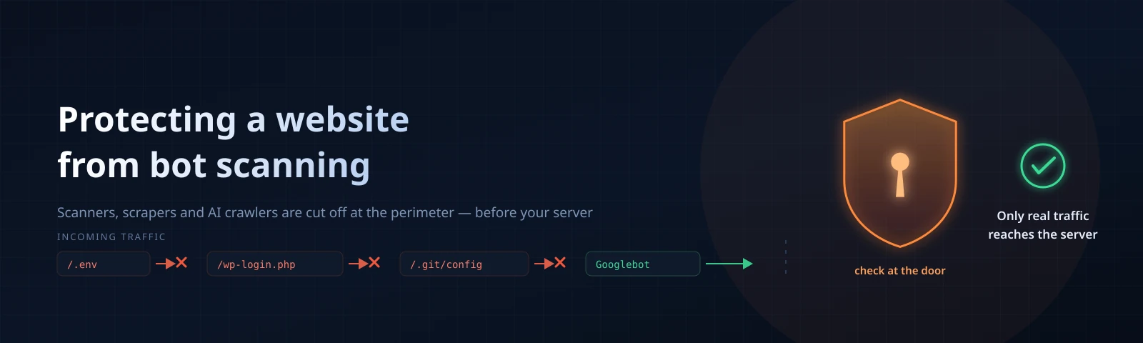 Featured image for Protecting a Website from Bot Scanning